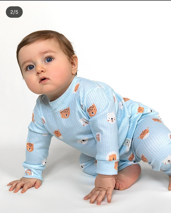 طرح تدی ابی